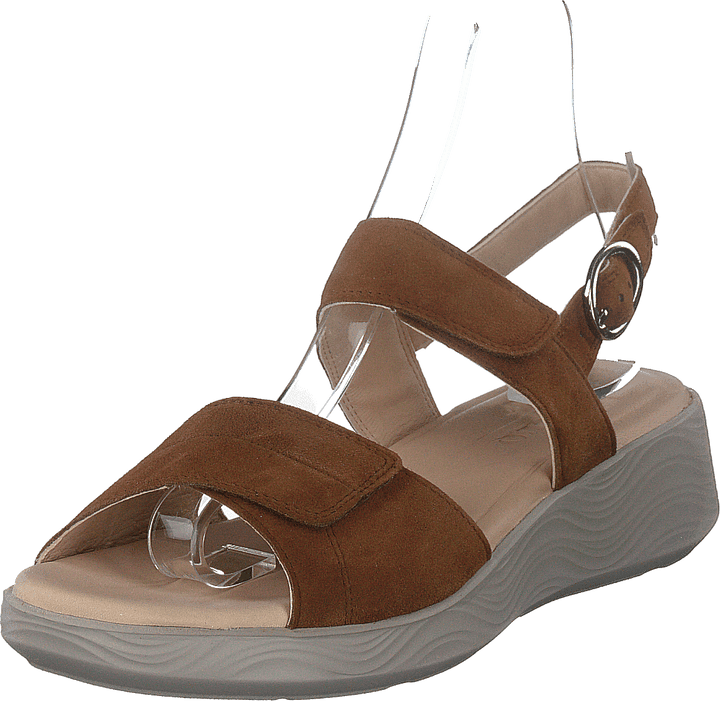 Swing Brown