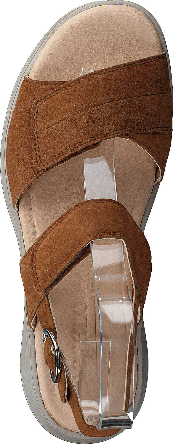 Swing Brown