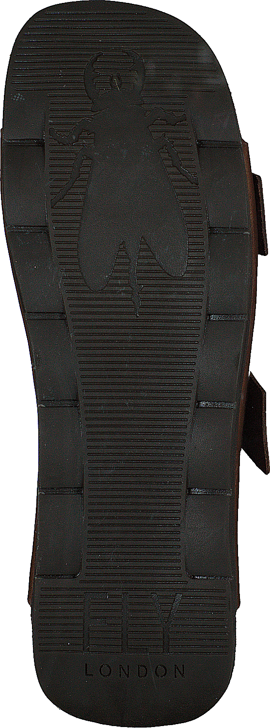 Caja721fly Camel