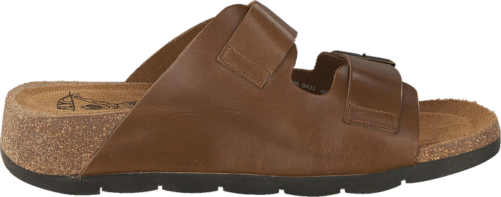 Caja721fly Camel