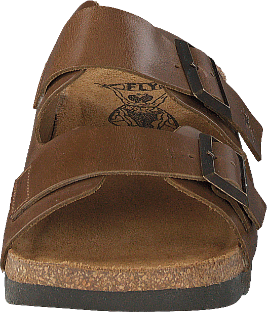 Caja721fly Camel
