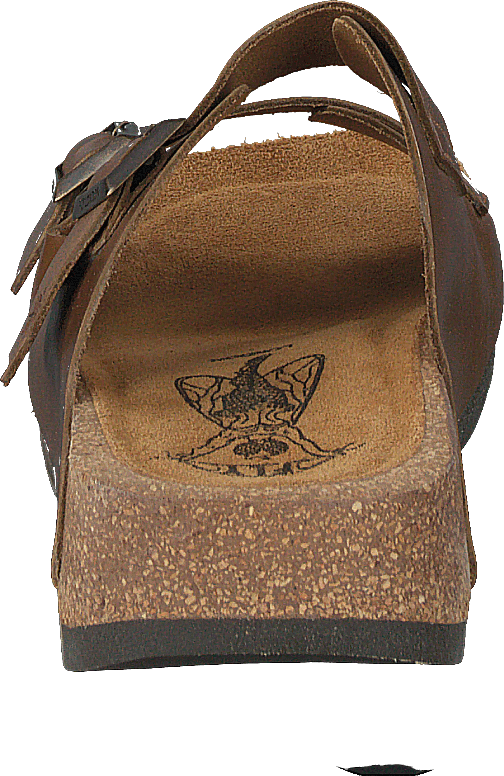 Caja721fly Camel
