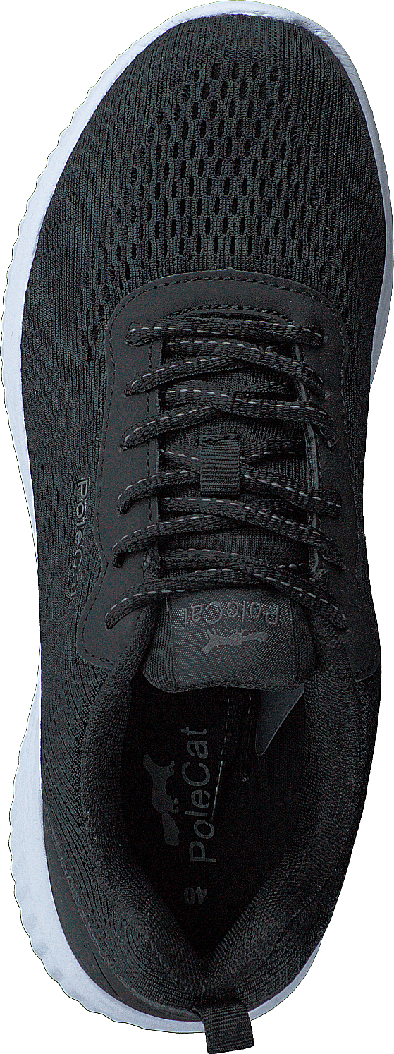 Credo Iowa Black
