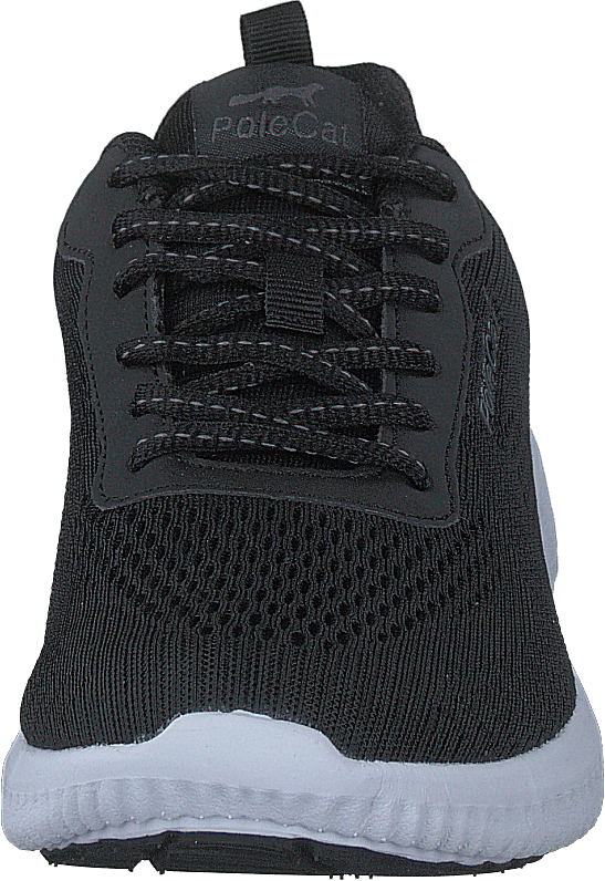 Credo Iowa Black