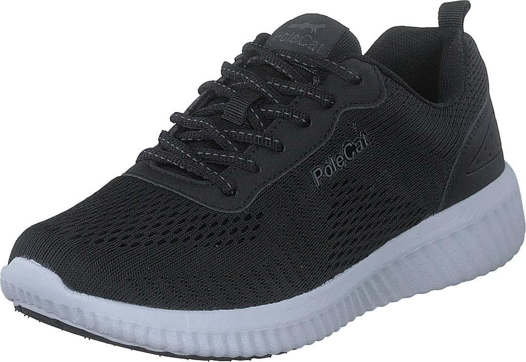 Credo Iowa Black