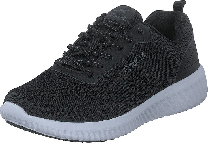 Credo Iowa Black