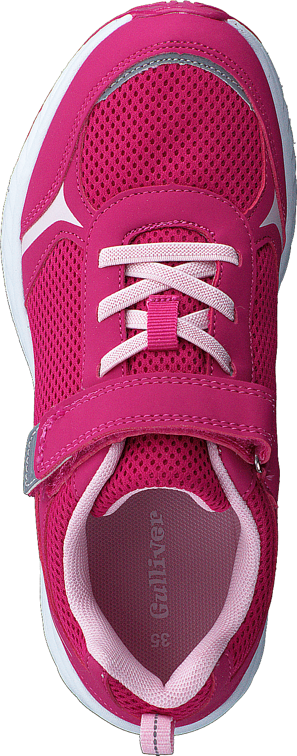 435-3112 Fuchsie