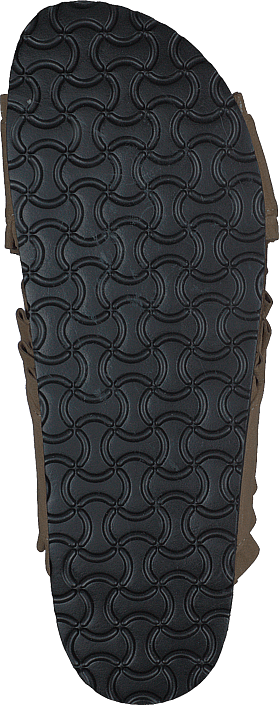 86-33005 Camel