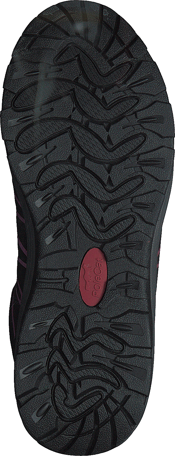 Terra Rock Gtx Black/fuchsia