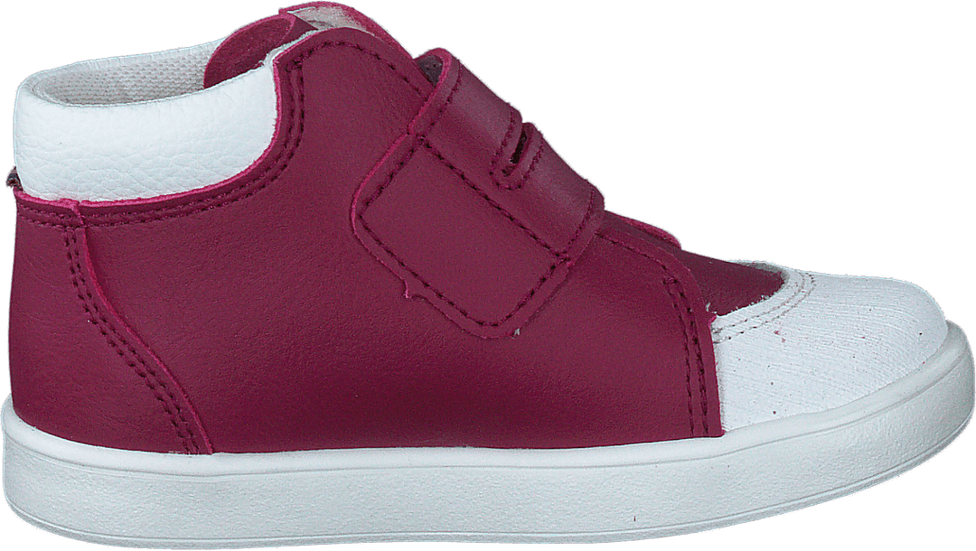 Fiskeby Xc Peony