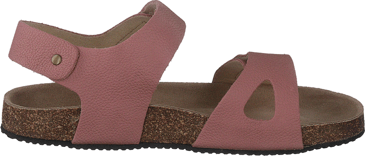 Bomhus Ep Ash Rose