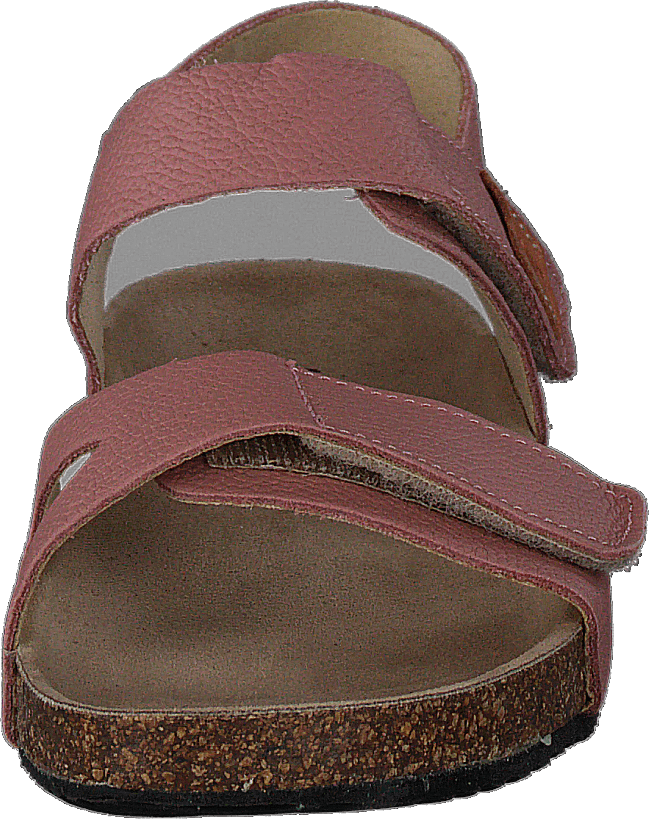 Bomhus Ep Ash Rose