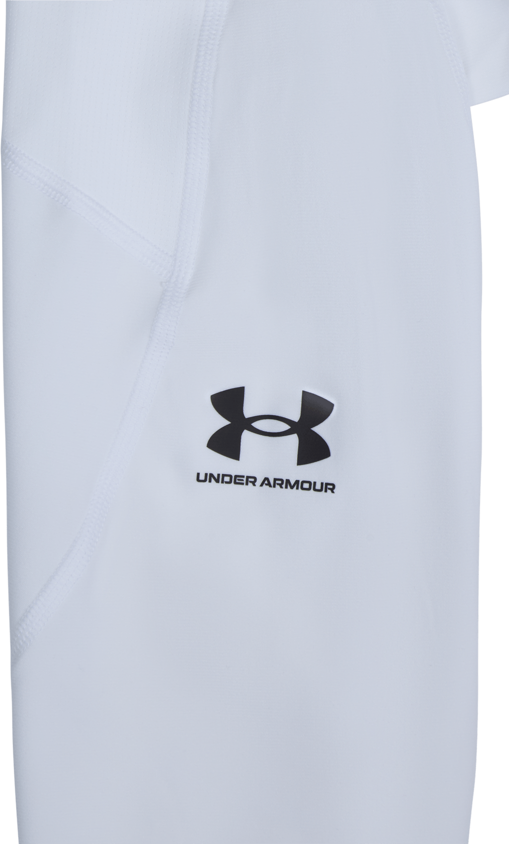 UA HG Armour Leggings