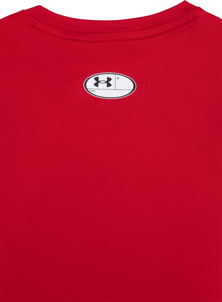UA HG Armour Comp Ls