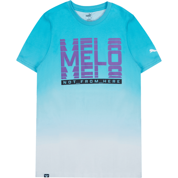 Melo Fade Ss Tee