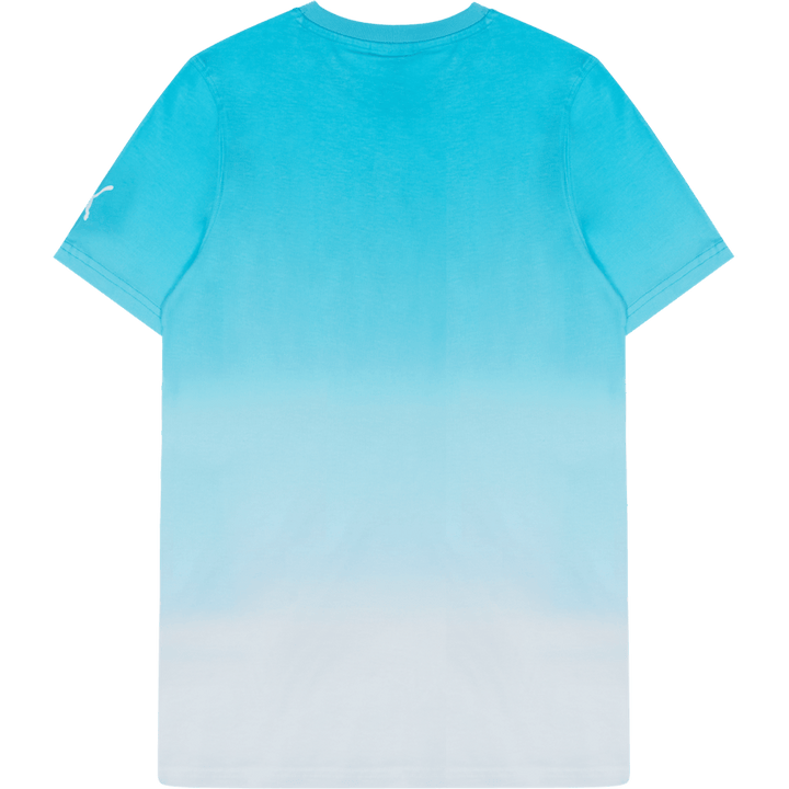 Melo Fade Ss Tee