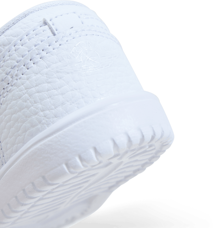 Jordan 1 Low Alt (TD)
