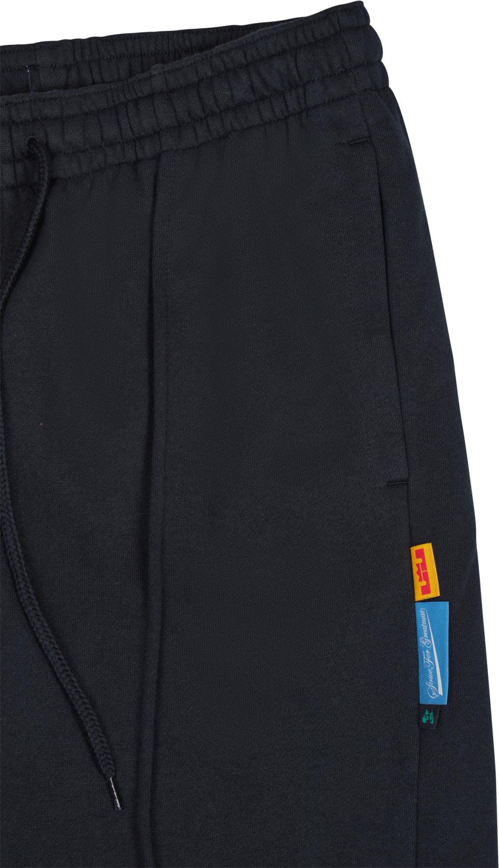 Pantaloni in pile LeBron