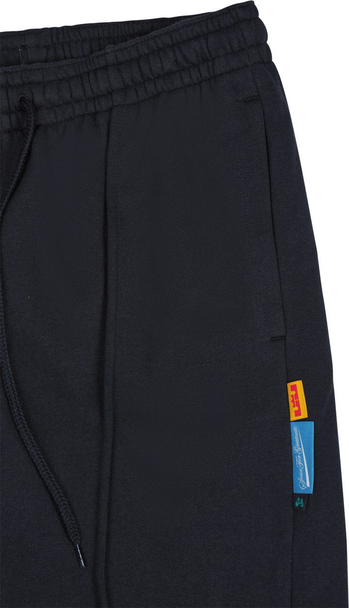 Pantaloni in pile LeBron