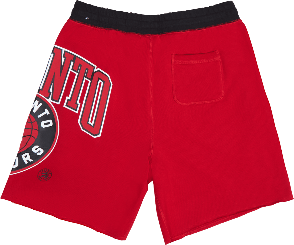 Pantaloncini in pile Raptors 75 Cts