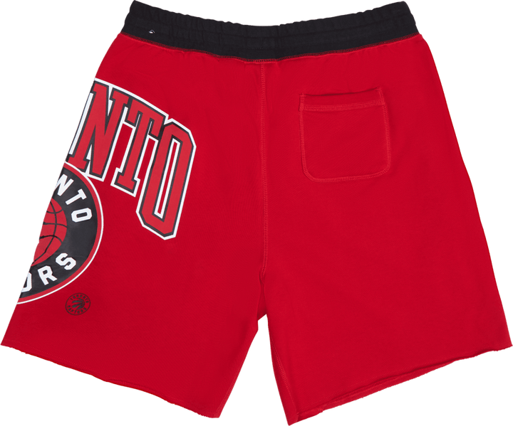 Pantaloncini in pile Raptors 75 Cts