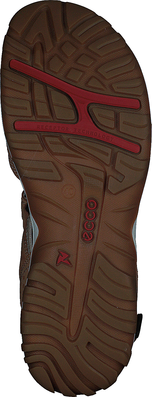 Ecco Offroad Lite W Cashmere