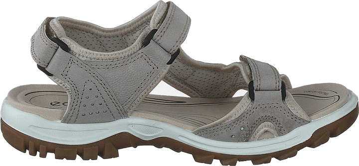 Ecco Offroad Lite W Moon Rock