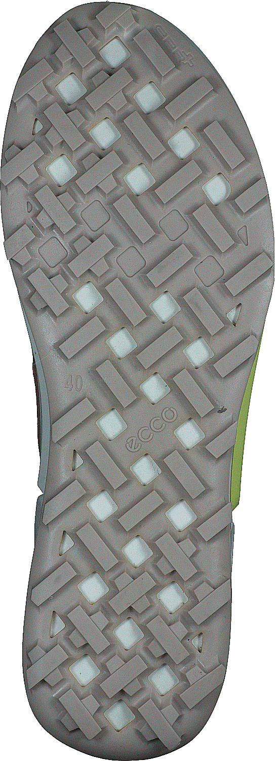 Ecco Biom 2.1 X Country W Morchel/Toskana/Morchel
