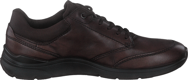Ecco Irving Cocoa Brown/café