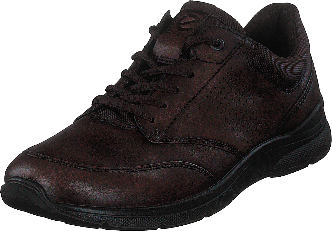 Ecco Irving Cocoa Brown/café