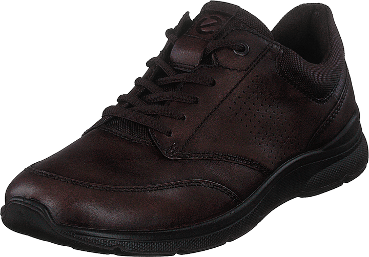 Ecco Irving Cocoa Brown/café