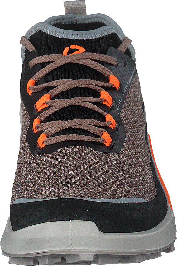 Ecco Biom 2.1 X Country M Black/morel/moon Rock