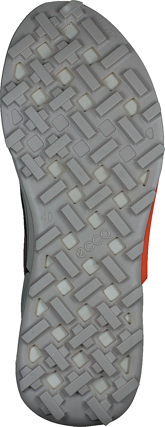 Ecco Biom 2.1 X Country M Black/morel/moon Rock