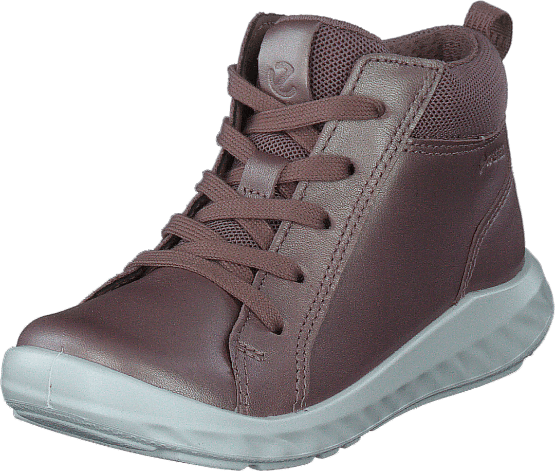 Sp1 Lite Infant Woodrosemetall Woodrose Metallic/woodrose