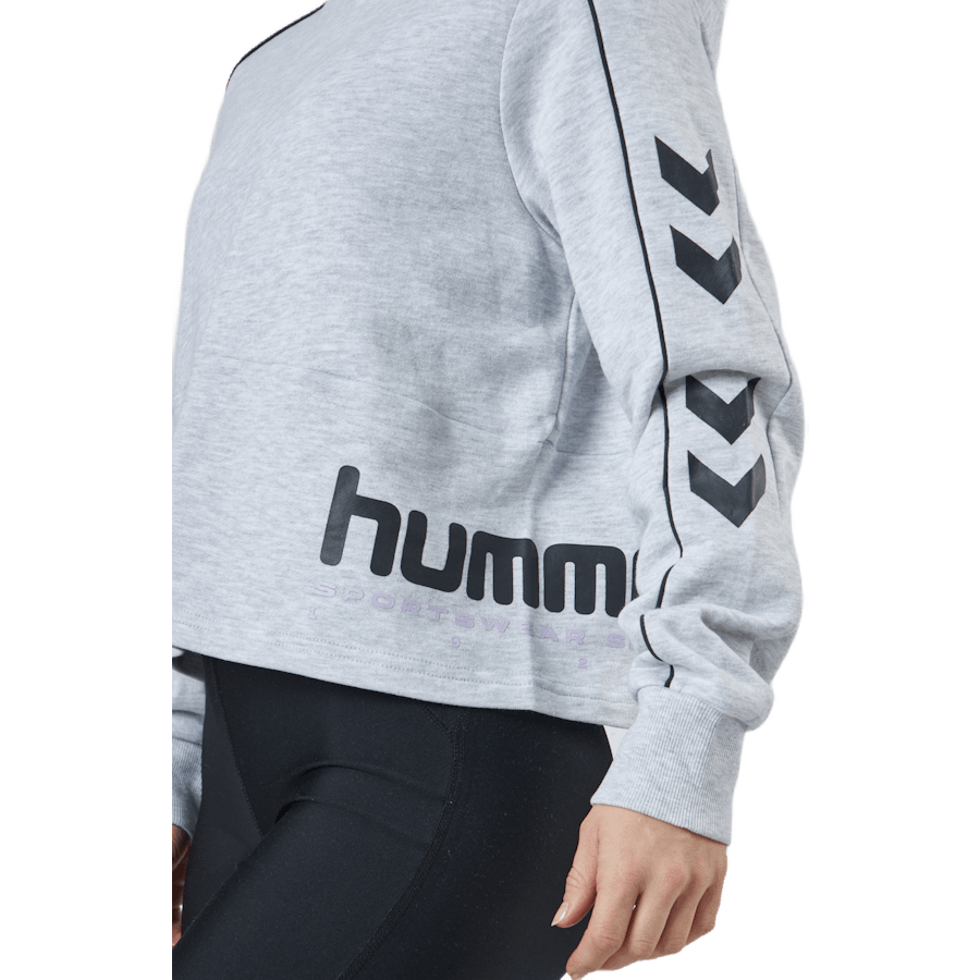 Hmllgc Yoko Cropped Hoodie Light Grey Melange