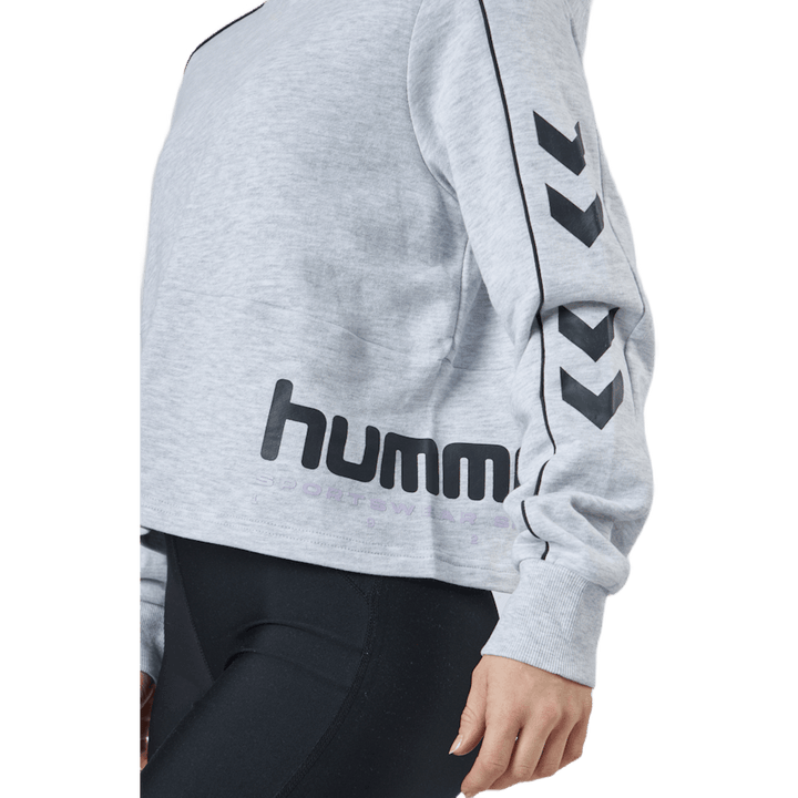 Hmllgc Yoko Cropped Hoodie Light Grey Melange