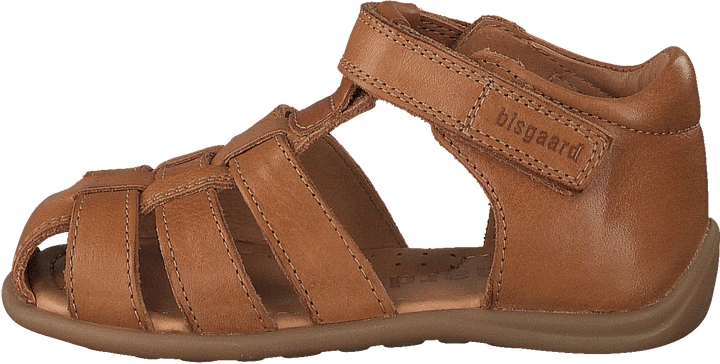 Bisgaard Carly Brandy