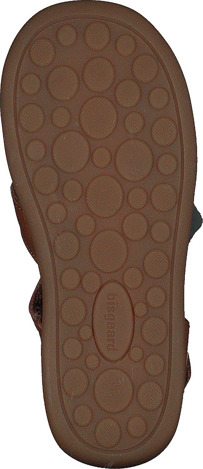 Bisgaard Carly Brandy