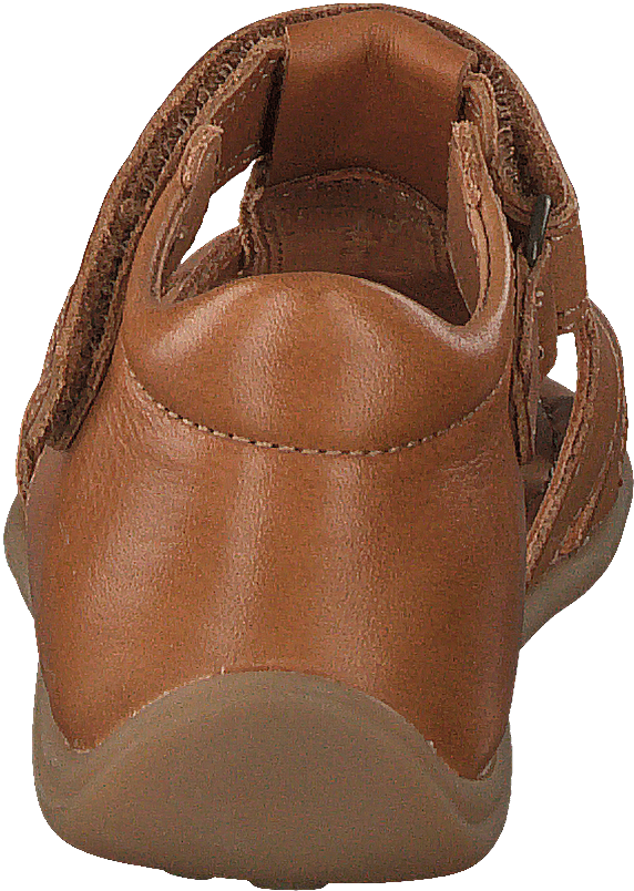 Bisgaard Carly Brandy