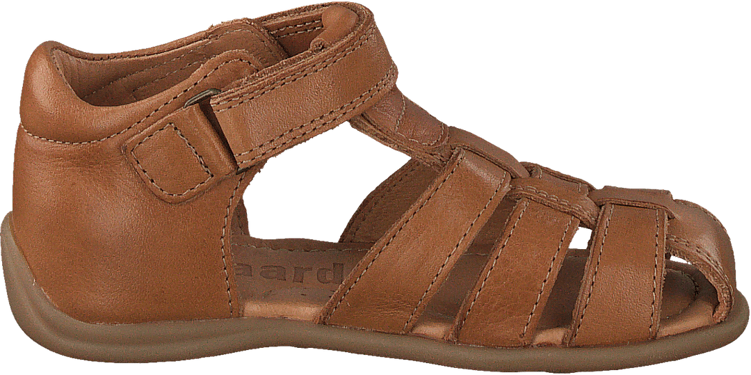 Bisgaard Carly Brandy