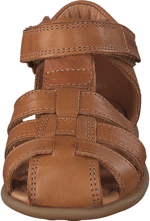 Bisgaard Carly Brandy