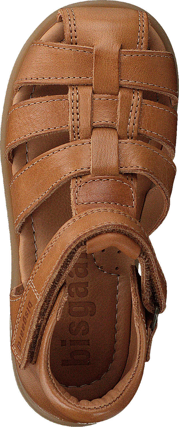 Bisgaard Carly Brandy