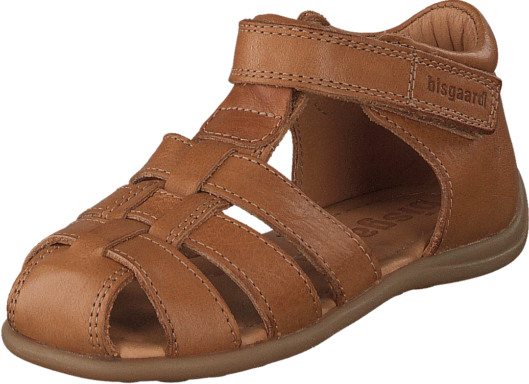 Bisgaard Carly Brandy