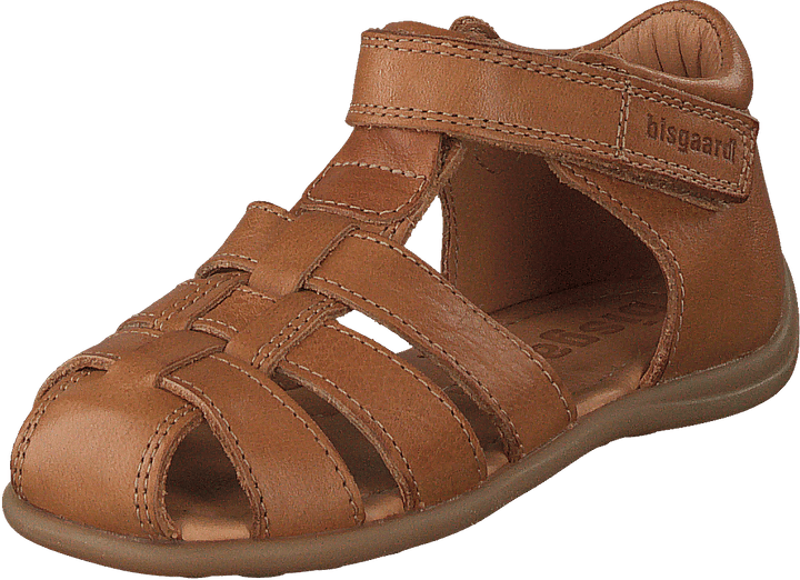 Bisgaard Carly Brandy