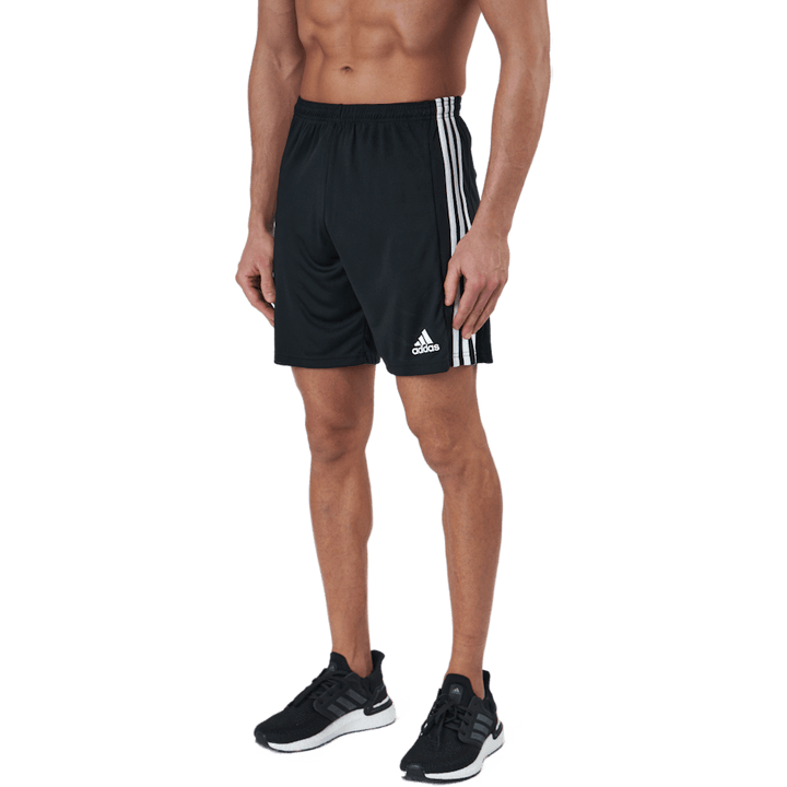 Squadra 21 Shorts Black
