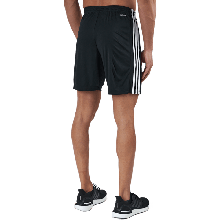 Squadra 21 Shorts Black