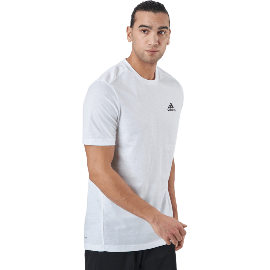 M Fr T White/black