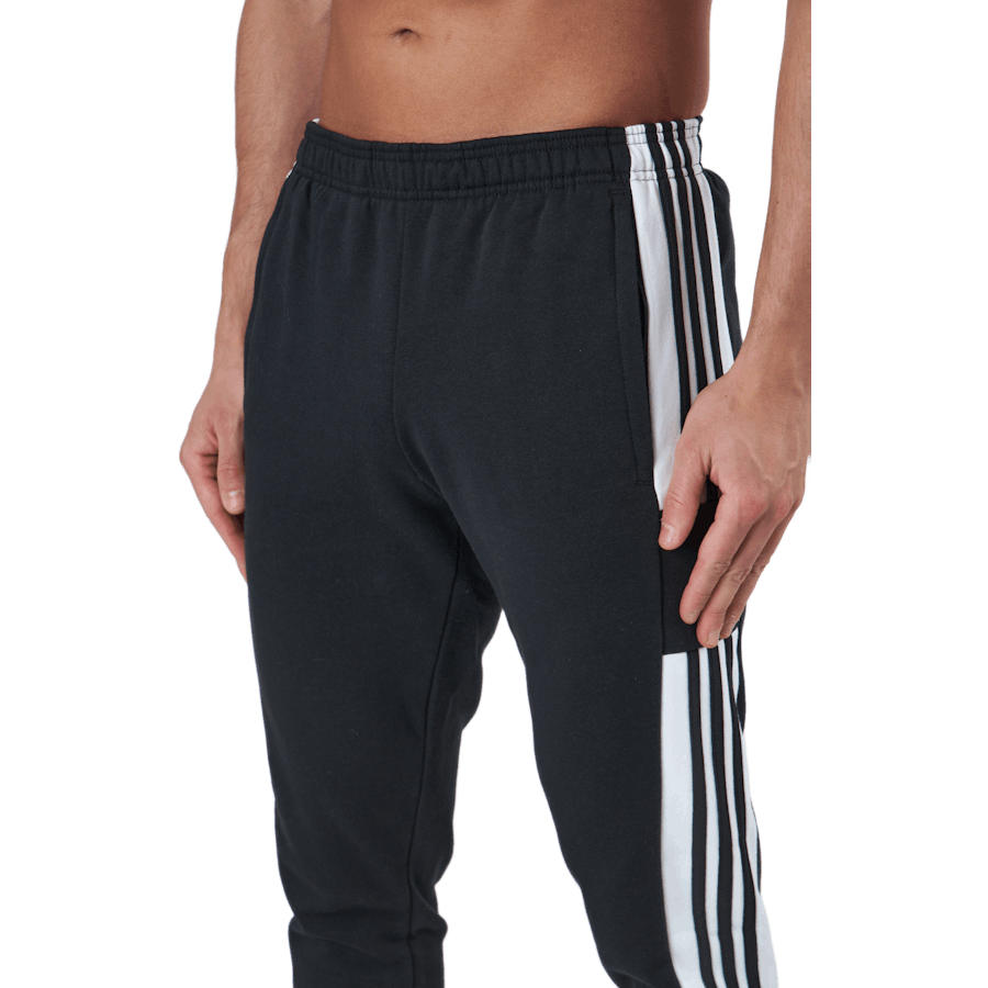 Sq21 Sw Pnt Black