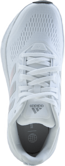 Questar Cloud White/matte Silver/almos
