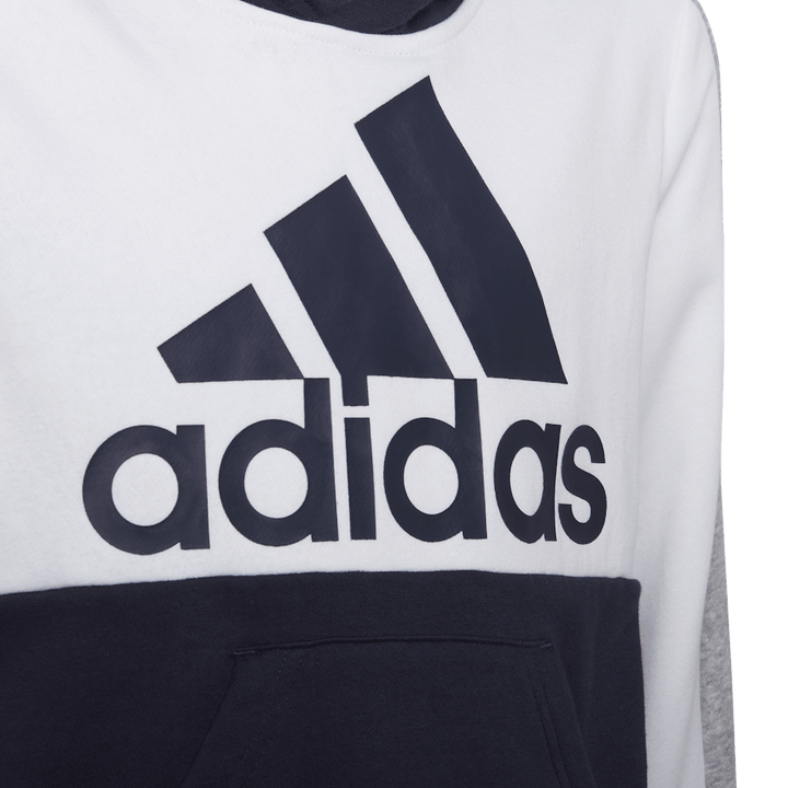 U Cb Fl Hoodie Legend Ink/white/medium Grey H